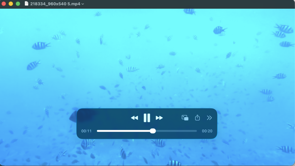 復元したMP4動画のプレビュー画像。映像が正常に再生できている。