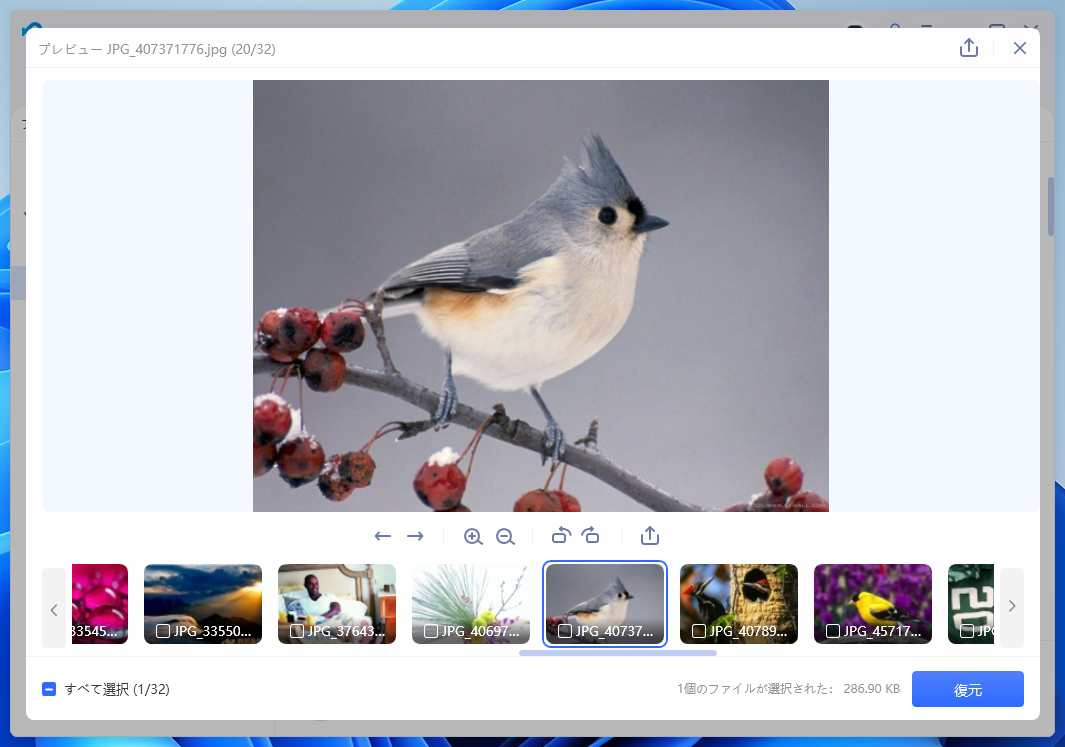 4DDiG ファイルプレビュー画面