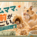 ハムママ、お前がすごい。赤ちゃん誕生を記念してゲームを作りました