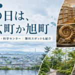 苫小牧の雨の日、子どもと行ける屋内はここ