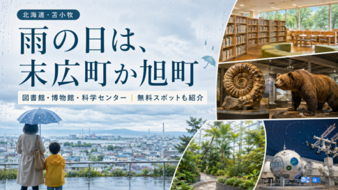 苫小牧の雨の日、子どもと行ける屋内はここ